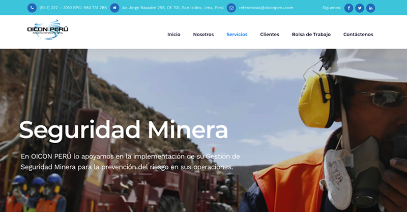 Proyecto Oicon Perú